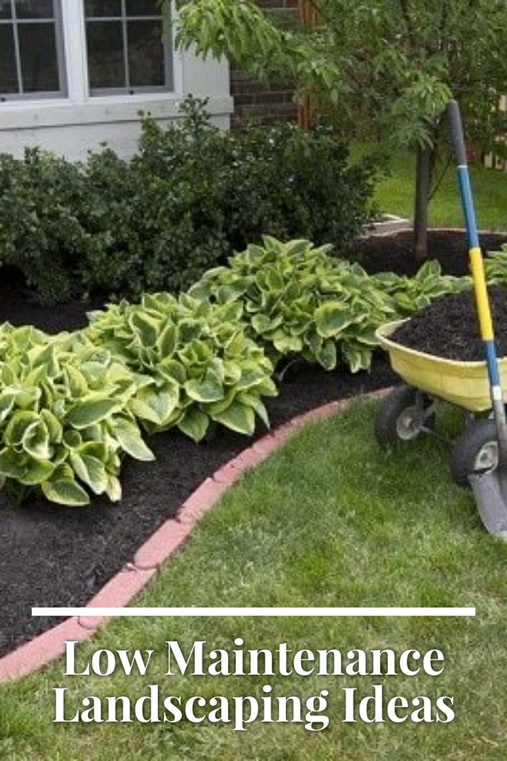 a wheelbarrow filled with black mulch next to a garden bed and trees