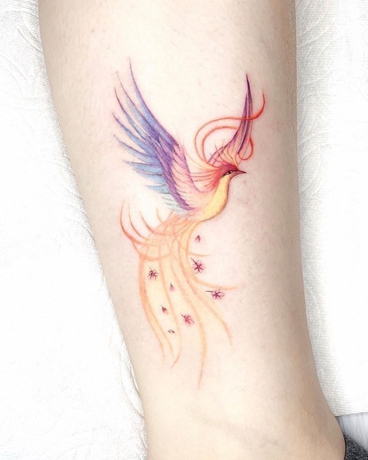 a colorful bird tattoo on the right side of the leg, with stars around it