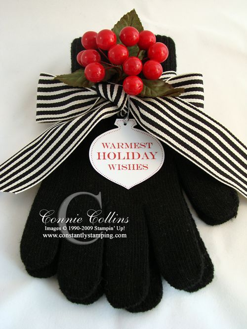 a pair of black gloves with red berries tied to the front and back of it