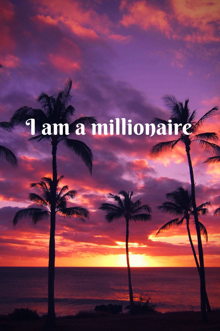 palm trees with the words i am a millionaire in front of an orange and purple sunset