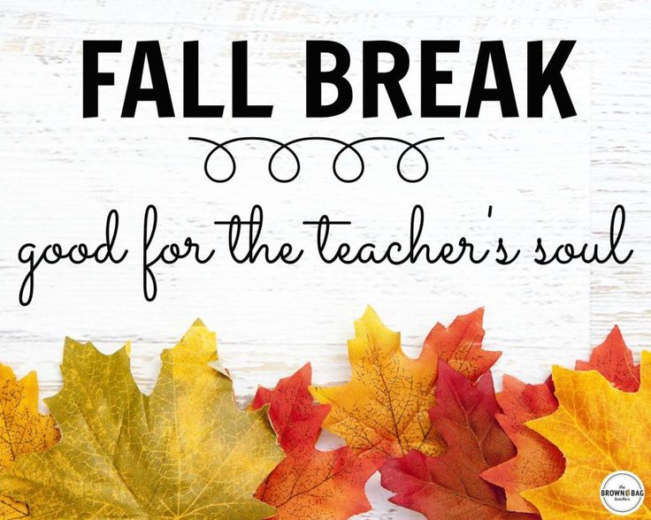 fall break good for the teacher's soul