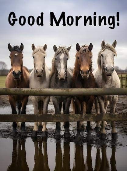 five horses are standing in the mud and there is a good morning sign above them