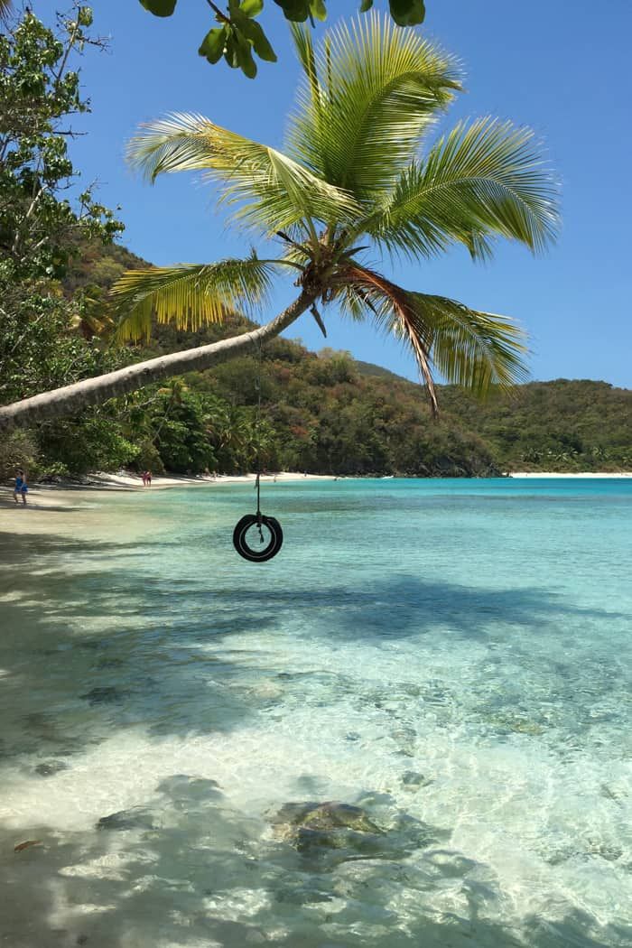 a tire swing hanging from a palm tree over clear blue water with people walking on the beach in the background