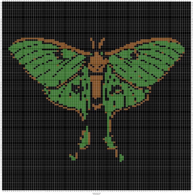 a cross stitch pattern with a green butterfly on it's back and brown wings