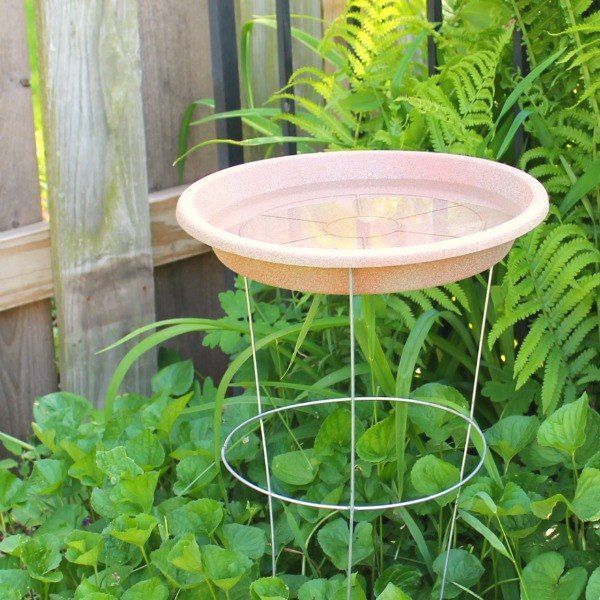 a bird bath sitting on top of a metal stand in the middle of some plants