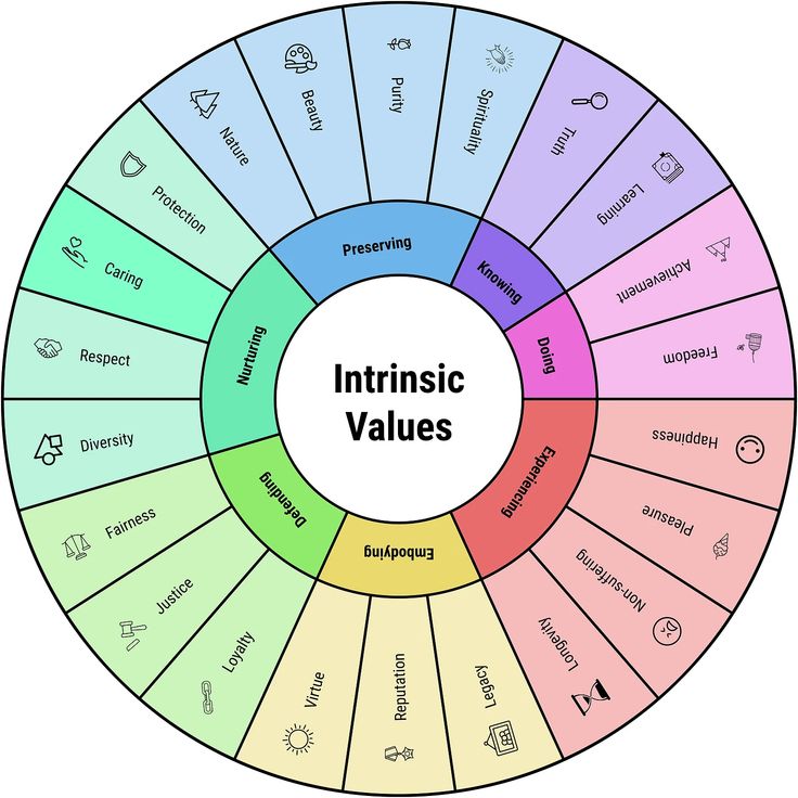 a circular diagram with the words intrusic value in different colors and symbols on it