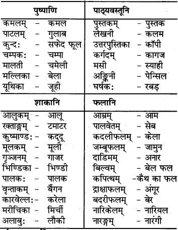 four different types of english words in the same language, each with their own name