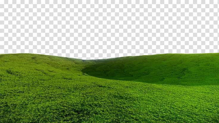 the green hills are covered in grass, and there is no image to be seen