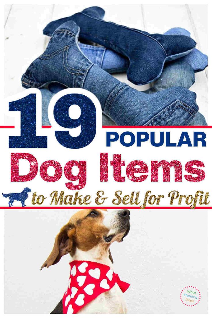 a dog wearing a bandana and jeans with the title 19 popular dog items to make & sell for profits