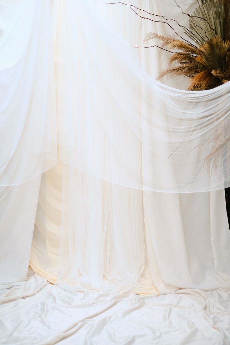 a white bed with sheer curtains and a plant in the corner on top of it