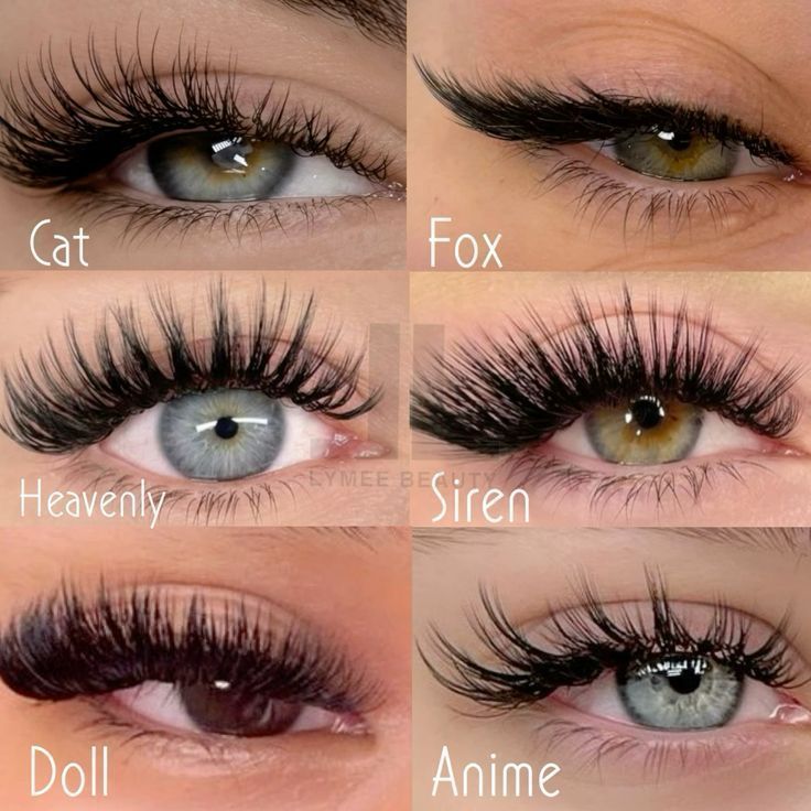 Wing Lash Extensions, Lash Styles Chart, Different Types Of Lash Extensions, Cateye Eyelashes Extensions, Lash Names, Types Of Eyelash Extensions, Eyelash Design, Eyelash Extension Business, Lash Map