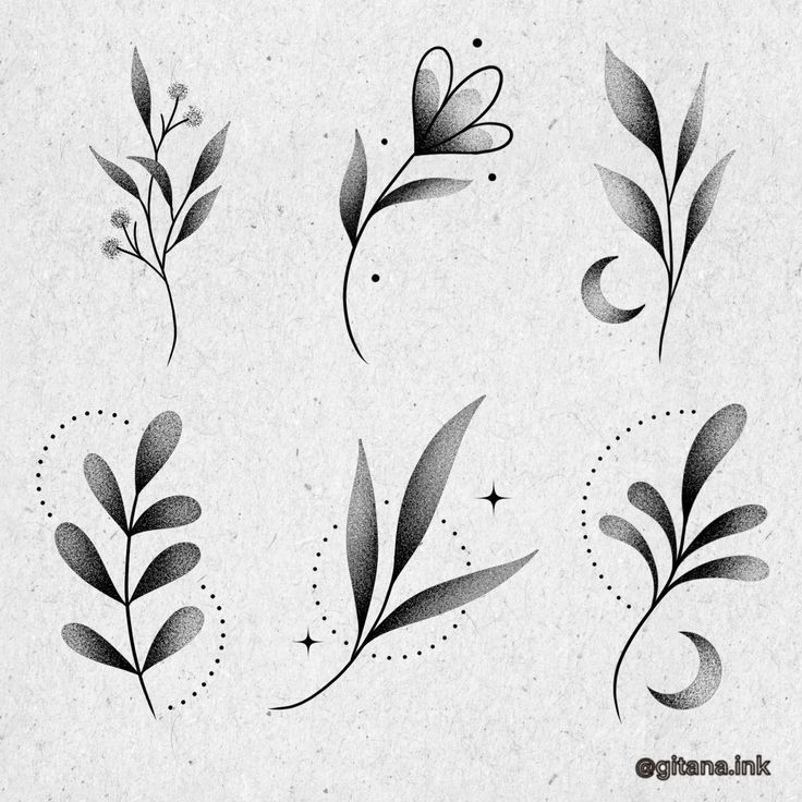 some leaves and stars on a white paper background, with the words love written in black ink