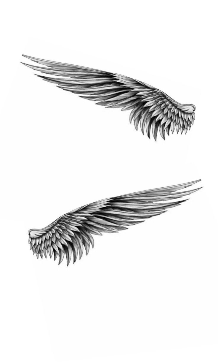 two black and white images of wings on a white background, one wing has been drawn to look like an angel's tail