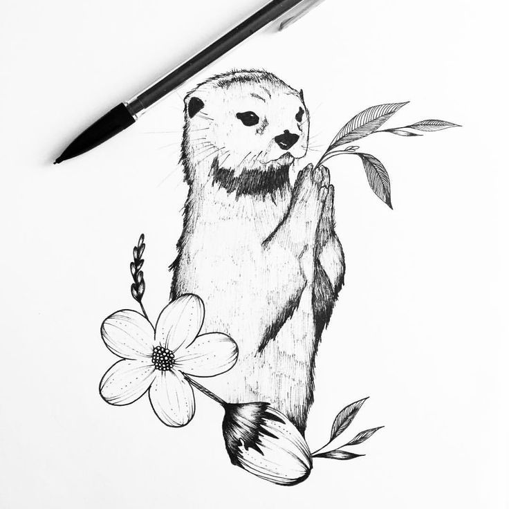 a drawing of a groundhog holding a flower