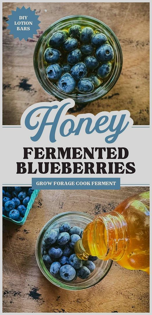 honey fermented blueberries in small glass bowls on a wooden table with the title above it