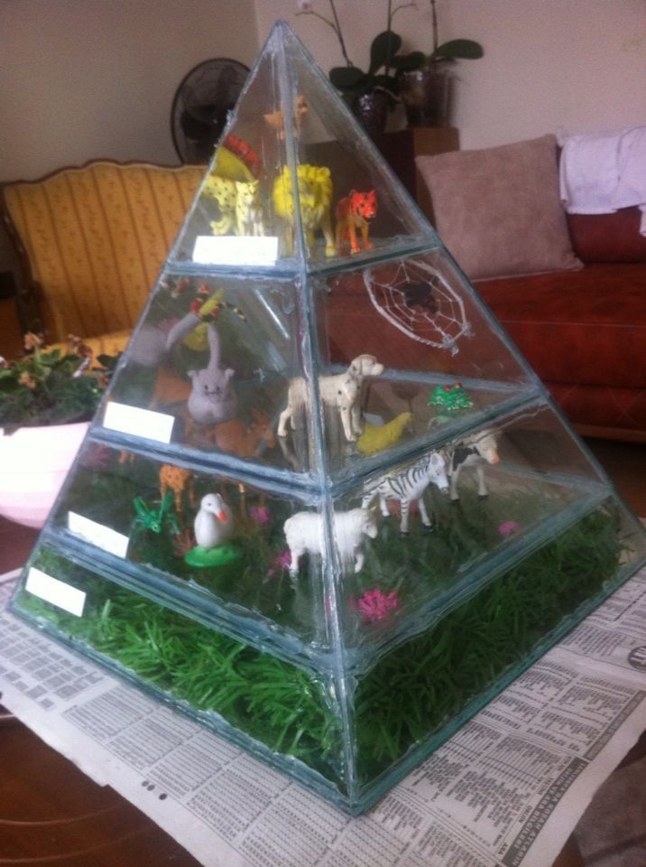 a glass pyramid filled with animals and plants on top of a paper towel in front of a couch