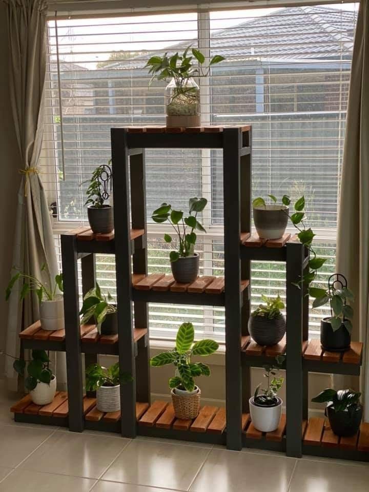 several potted plants sit on wooden shelves in front of a window