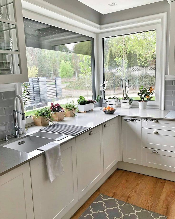 a white kitchen with lots of windows and plants on the counter top in front of it