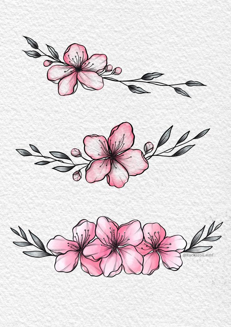 some pink flowers and leaves on a white background