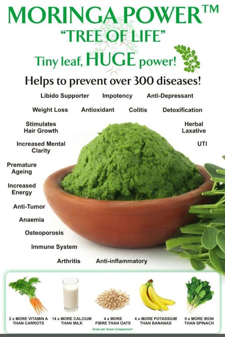 Moringa Benefits, Herbal Remedies Recipes, Food Health Benefits, Adventure Seeker, Green Superfood, Healthy Herbs, Home Health Remedies, Herbs For Health, Healing Food