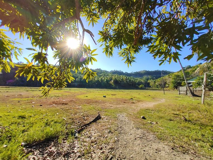 the sun shines brightly over an empty field