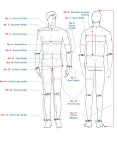 an image of a man's body and its parts labeled in the diagram below