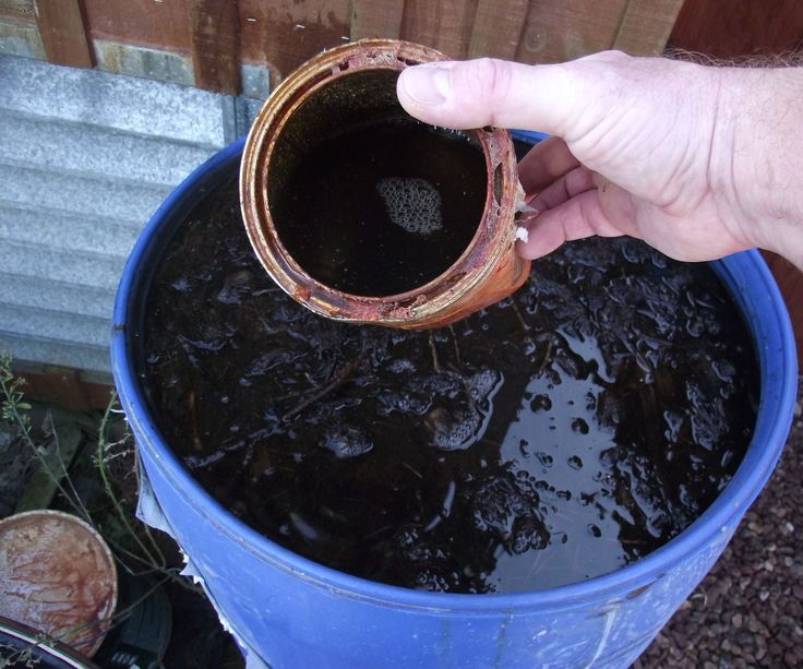 a person is pouring water into a blue bucket with a wooden spoon in the middle