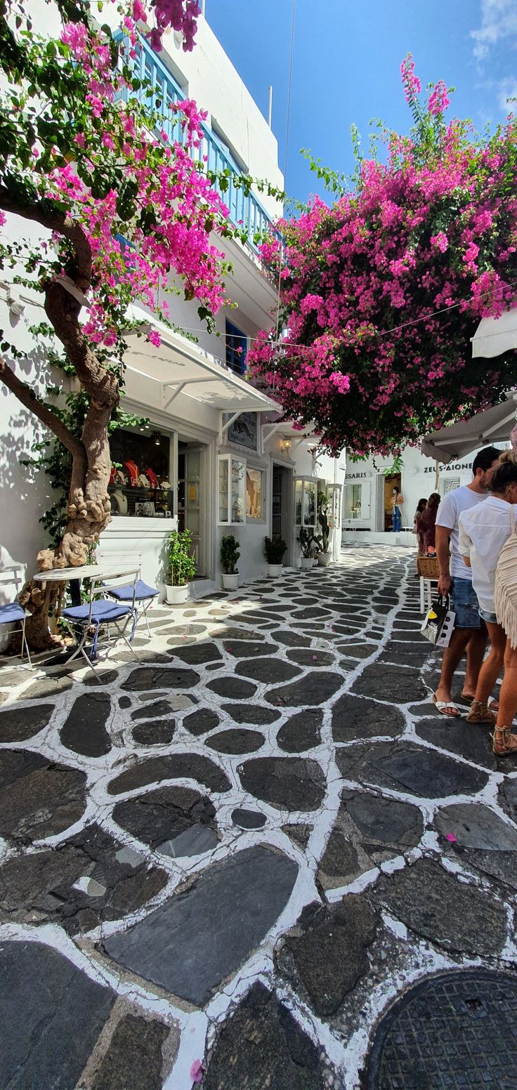 people are walking down the street in front of some buildings with pink flowers on them