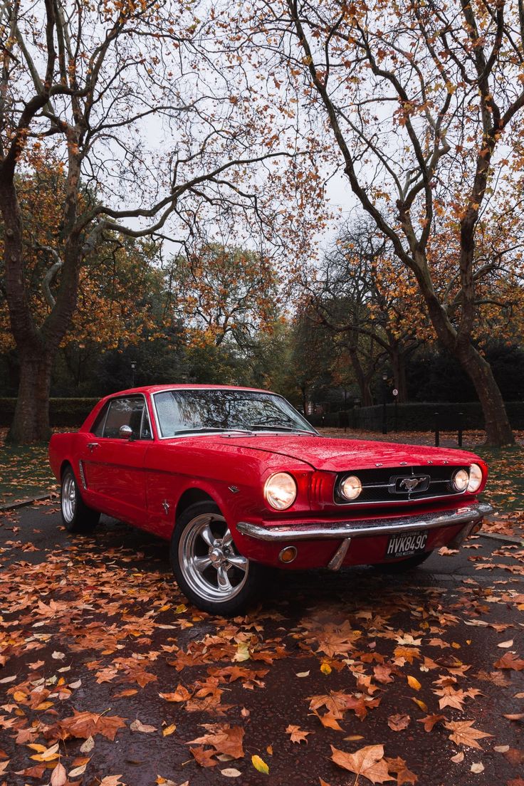 a red mustang parked in front of some trees with leaves on the ground around it