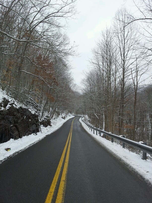 an empty road in the middle of winter with snow on the ground and trees lining both sides