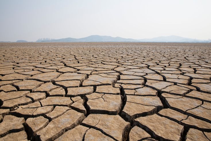 the ground is cracked and has no leaves on it in this desert area with mountains in the distance