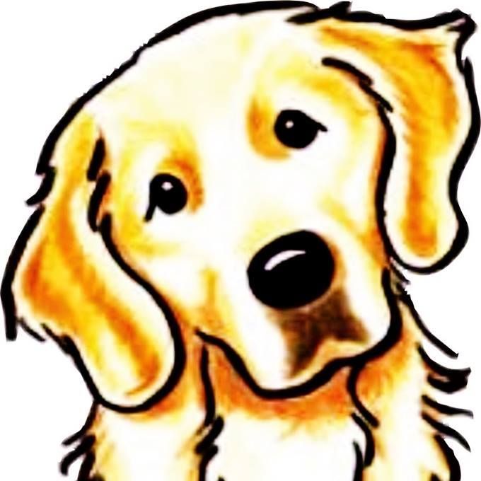 a drawing of a golden retriever dog's face is shown in this image