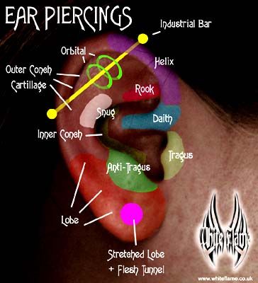 the ear piercings are labeled in different colors