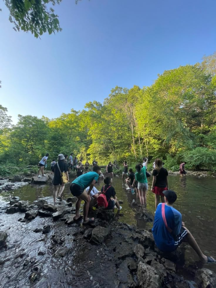 a group of people standing on top of a river next to a lush green forest