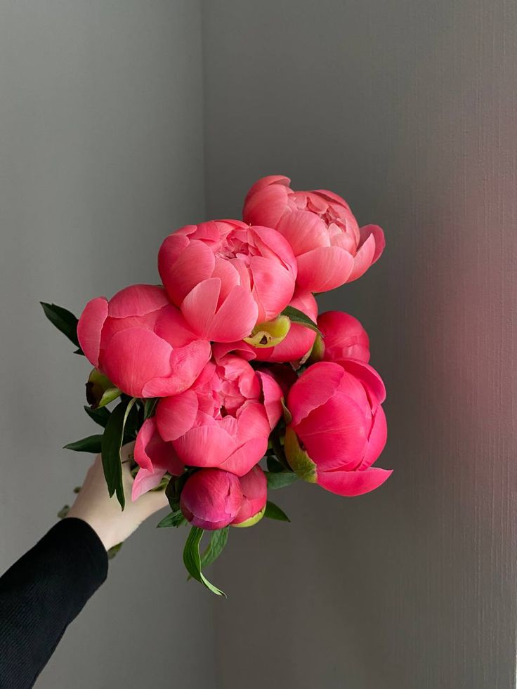 a person holding a bunch of pink flowers in their hand with the wall behind them