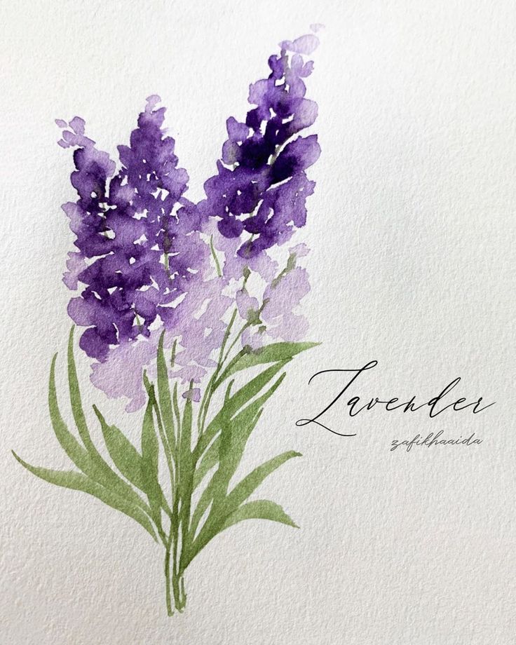 a watercolor painting of purple flowers with the words lavender written in cursive writing