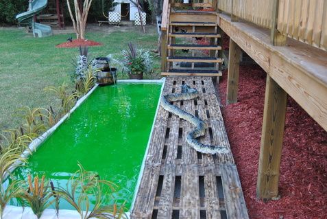 a wooden deck next to a small pool with green water in the middle and a snake crawling on it