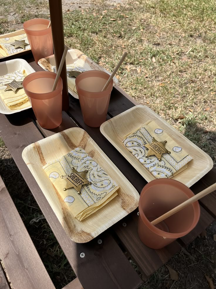 the table is set with plates, cups and utensils for an outdoor party