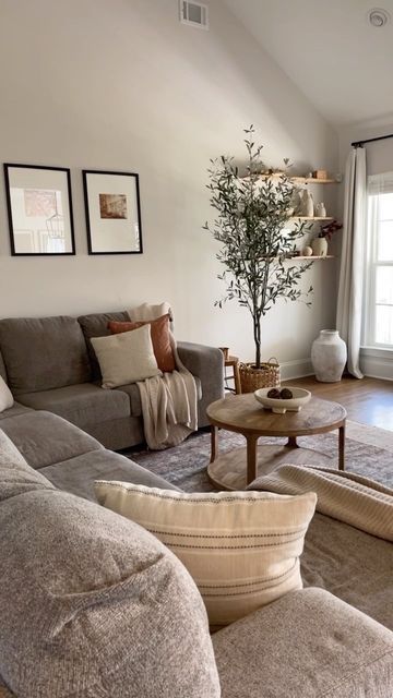 a living room filled with furniture and a tree in the corner on top of a rug