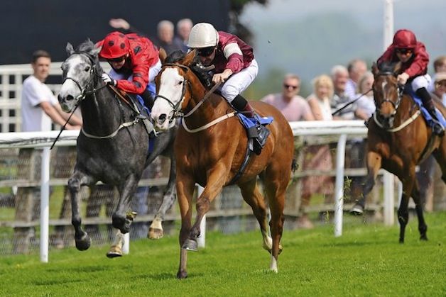 three horses and jockeys racing on the track at a horse race event with spectators watching