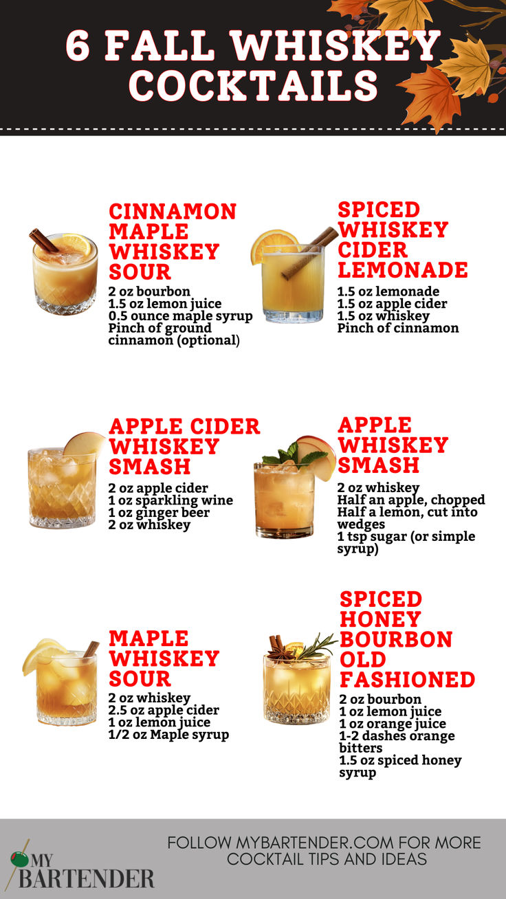 Fall Whiskey Cocktails Fall Whiskey Cocktails, Autumn Beverages, Apple Cider Whiskey, Whiskey Lemonade, Easy To Make Cocktails, Cinnamon Whiskey, Cocktail Recipes Whiskey, Whisky Cocktail, Whisky Cocktails