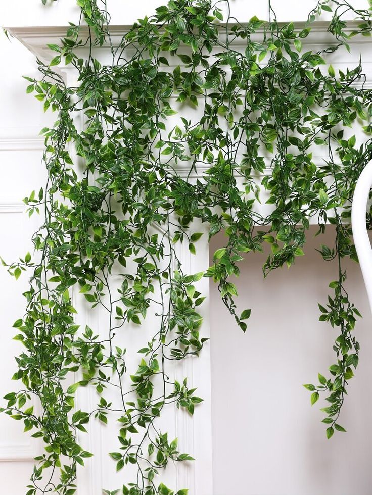 a white chair sitting in front of a green plant on the side of a wall