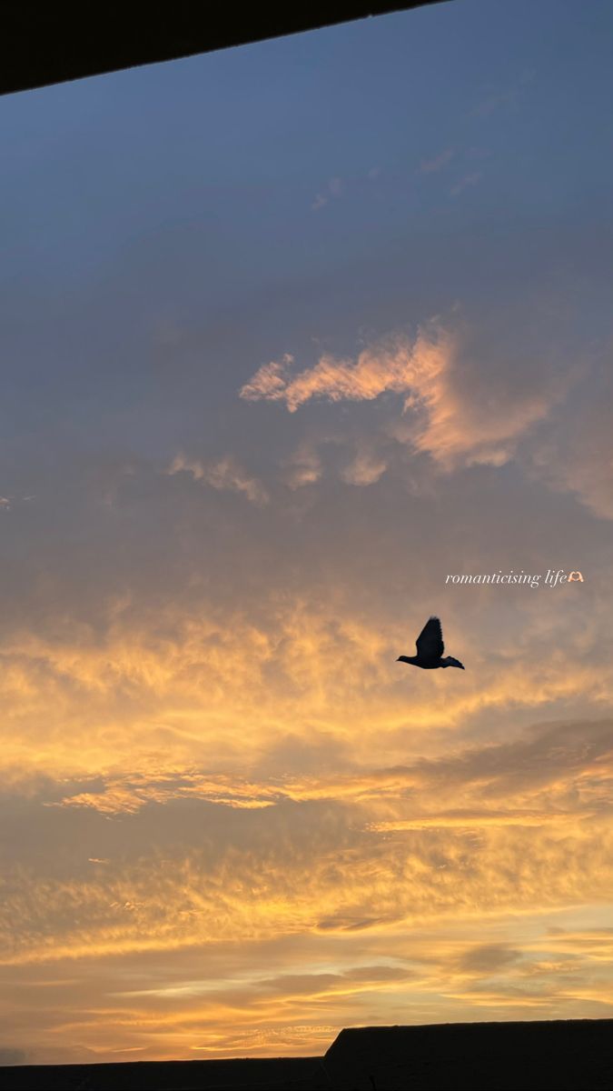 an airplane is flying in the sky at sunset