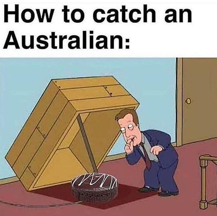 a man in a suit is looking at a box with the words how to catch an australian