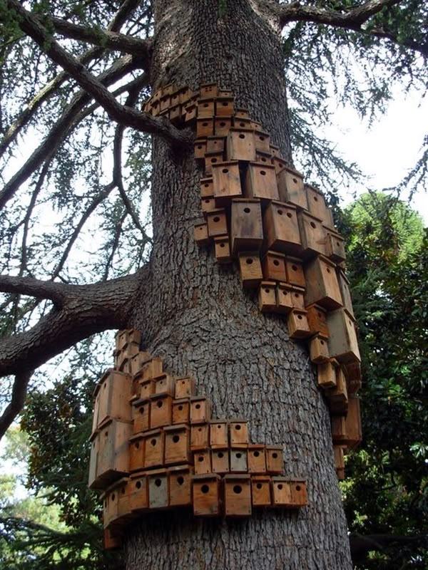 a tree with lots of wooden boxes attached to it