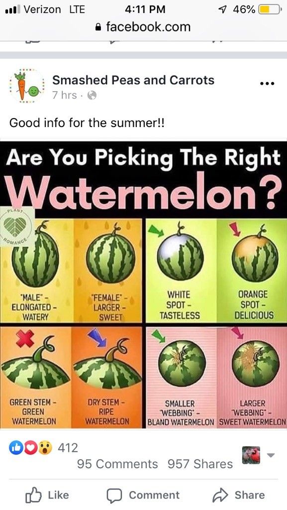 the watermelon is different colors and sizes