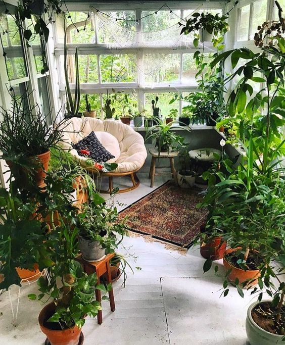 a room filled with lots of potted plants