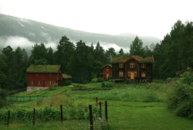 two red houses in the middle of a lush green field with mountains in the background