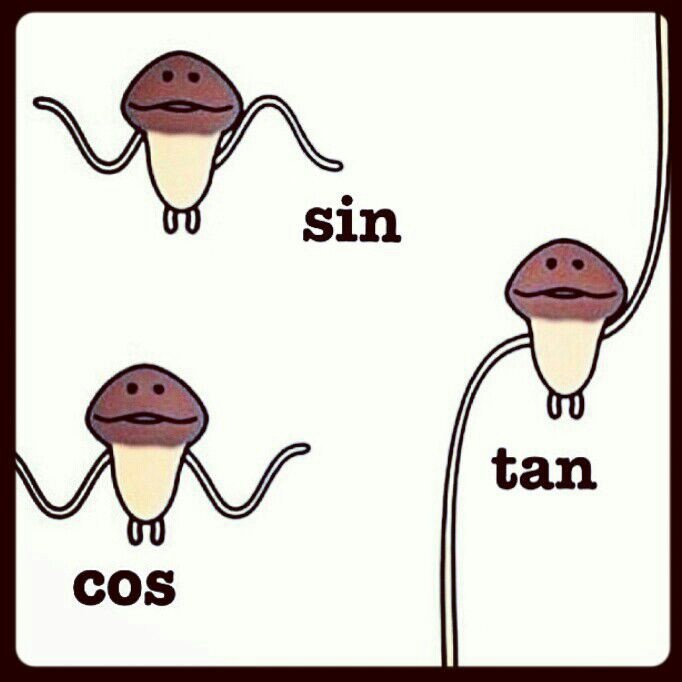 three different types of plants with the words sin, tan and cos on them