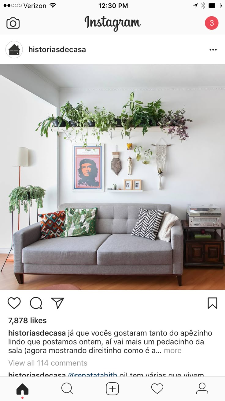 the instagram page on instagram com shows an image of a couch with plants hanging above it